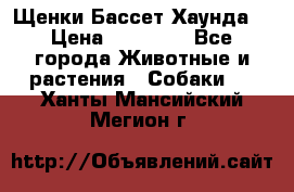 Щенки Бассет Хаунда  › Цена ­ 25 000 - Все города Животные и растения » Собаки   . Ханты-Мансийский,Мегион г.